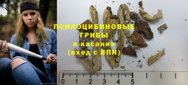 Альфа ПВП Арсеньев