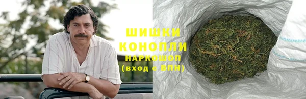 прущие грибы Армянск