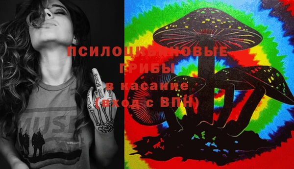 Альфа ПВП Арсеньев